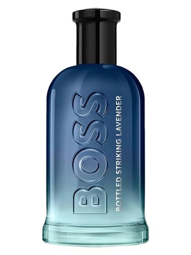 hugo boss lavander